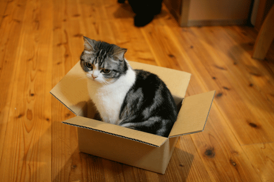 c0011300_14023367.gif