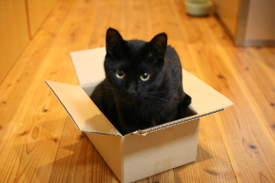 c0011300_14023550.gif