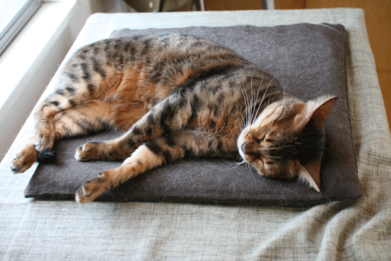 c0011300_14033377.gif