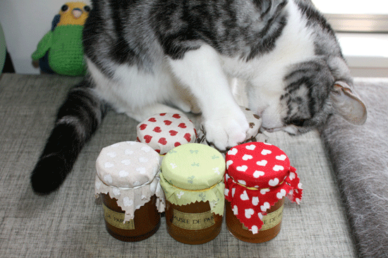 c0011300_14040248.gif