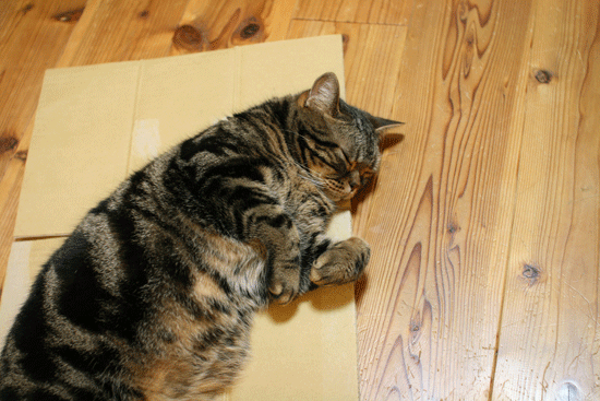 c0011300_14040688.gif