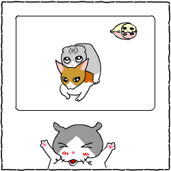 c0011300_14042170.gif