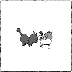c0011300_14042376.gif