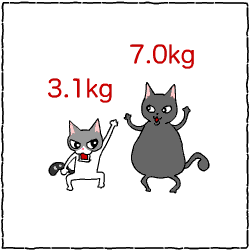 c0011300_14042423.gif