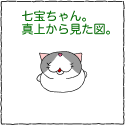 c0011300_14042828.gif