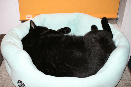 c0011300_14053836.gif