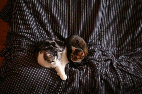 c0011300_14063812.gif