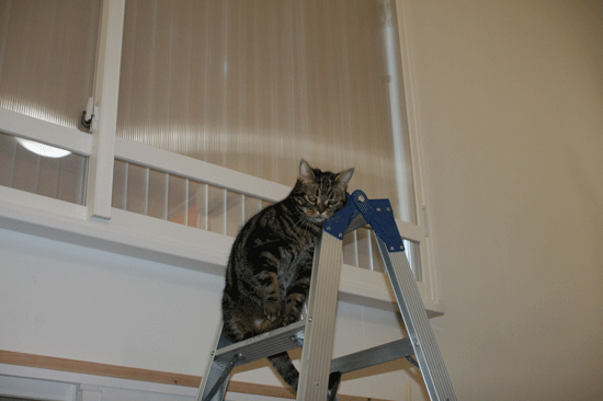 c0011300_14065278.gif