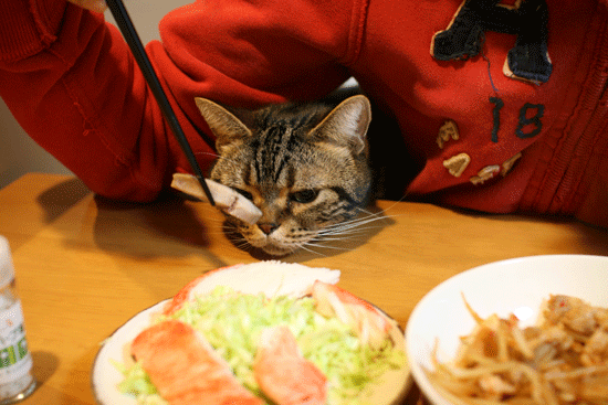 c0011300_14073914.gif
