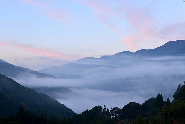 a0044202_135029.jpg