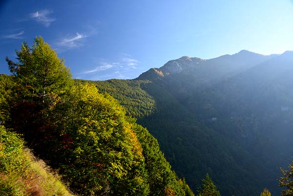 a0044202_1361290.jpg