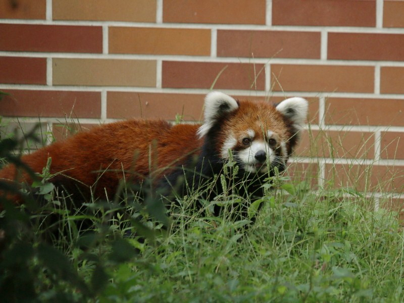 初訪問！東武動物公園_a0306502_4105650.jpg