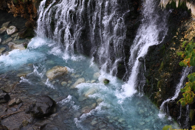 d0248502_20264786.jpg