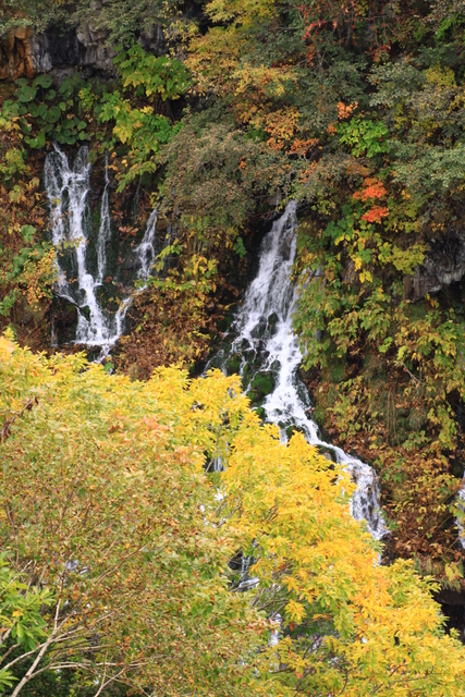 d0248502_20322868.jpg