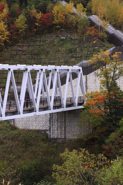 d0248502_20331169.jpg