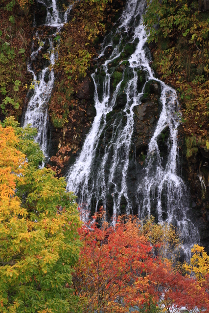 d0248502_20345496.jpg