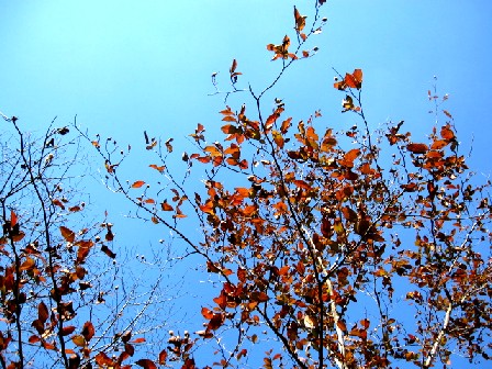 a0040103_1551520.jpg