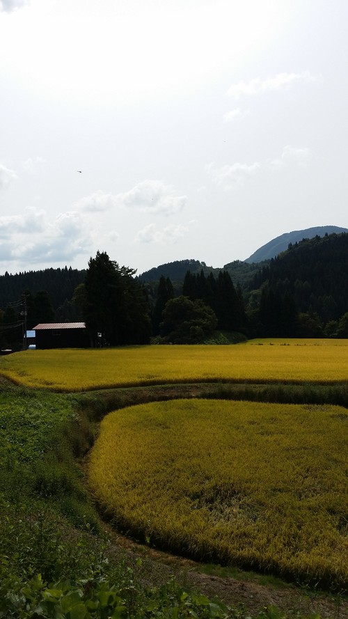 d0005807_16322999.jpg
