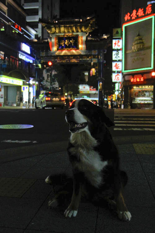 横浜の夜景_f0137508_13504494.jpg