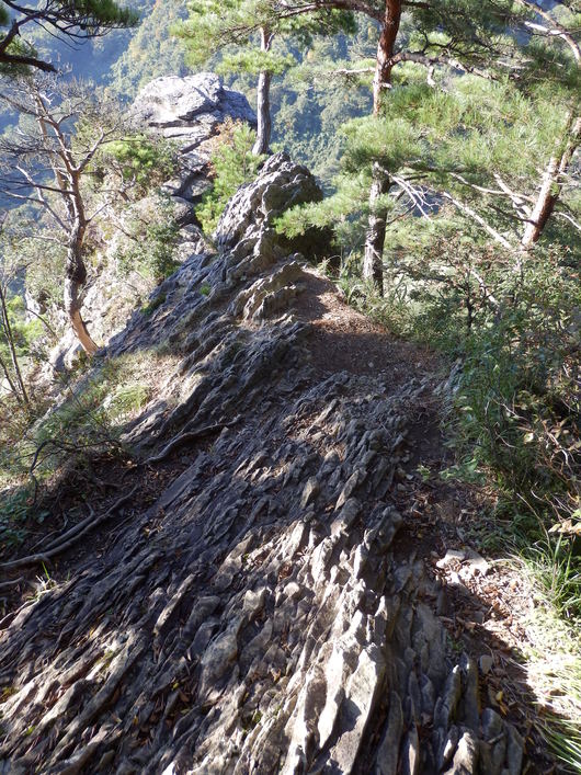 f0219710_12353642.jpg