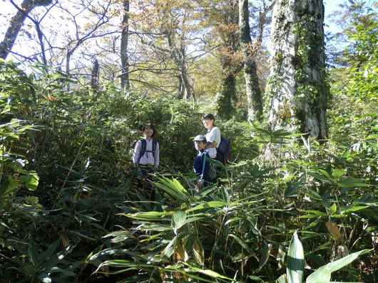 f0219710_12461644.jpg