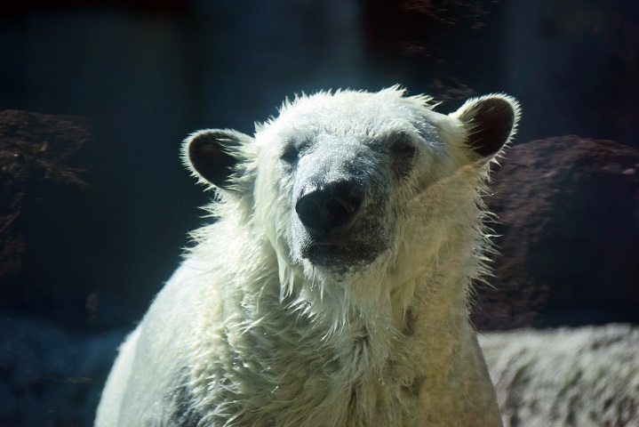 a0151913_0152293.jpg