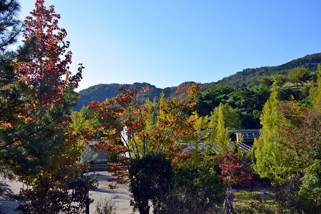 a0151913_015355.jpg