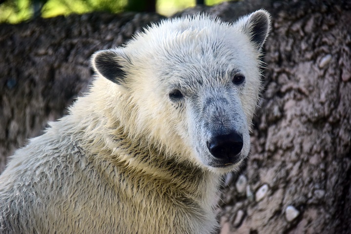 a0151913_2332443.jpg