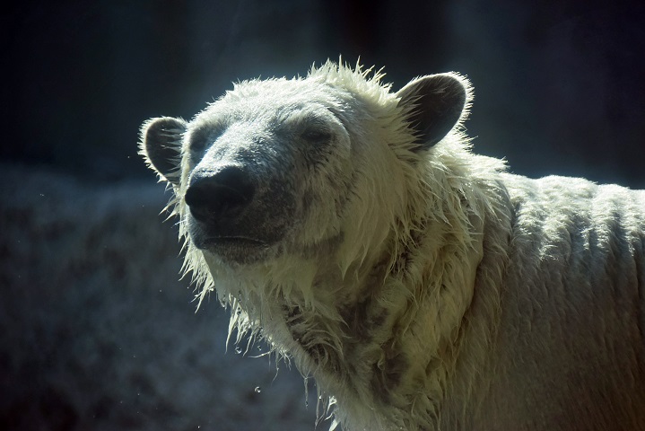 a0151913_2335017.jpg