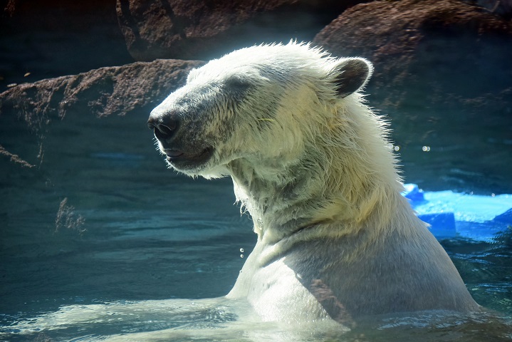 a0151913_3224695.jpg