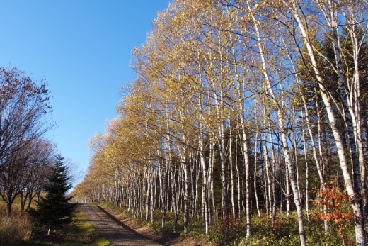 e0062415_18211873.jpg