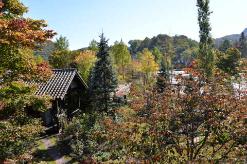 e0335926_21512481.jpg