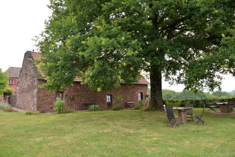 e0335926_22222984.jpg
