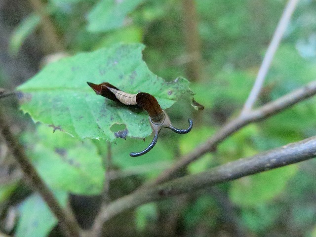 f0177529_2248925.jpg