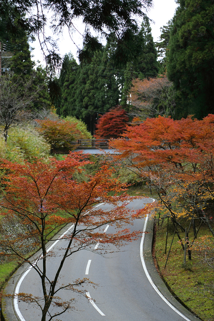 紅葉の比叡山 －延暦寺・東塔（浄土院）－_b0169330_22421014.jpg