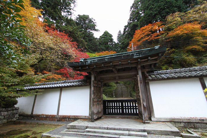 紅葉の比叡山 －延暦寺・東塔（浄土院）－_b0169330_2382551.jpg