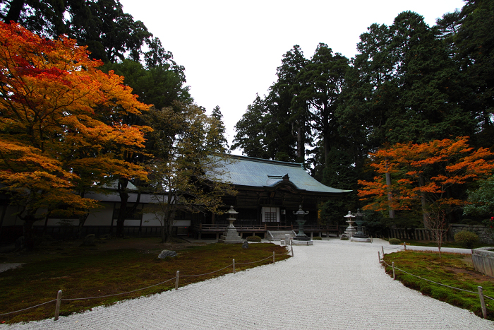 紅葉の比叡山 －延暦寺・東塔（浄土院）－_b0169330_239188.jpg