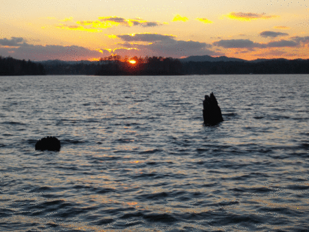 e0242439_17174446.gif