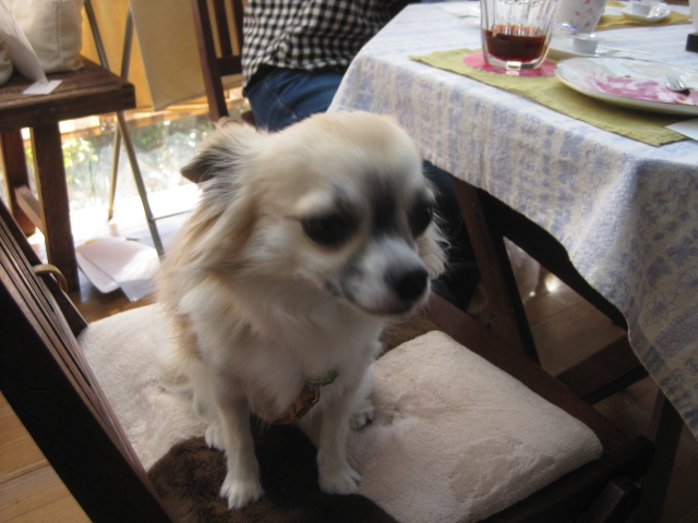 c0134645_18432169.jpg