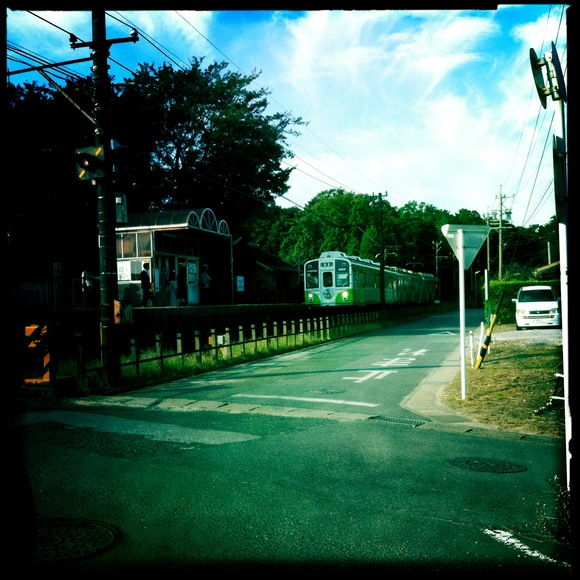 またまた、化石を探しに行ってきました。＜渥美半島　高松海岸～新井海岸　10/18＞_c0312349_17485635.jpg