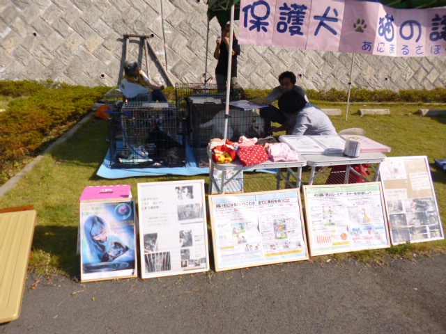 d0106951_21155432.jpg