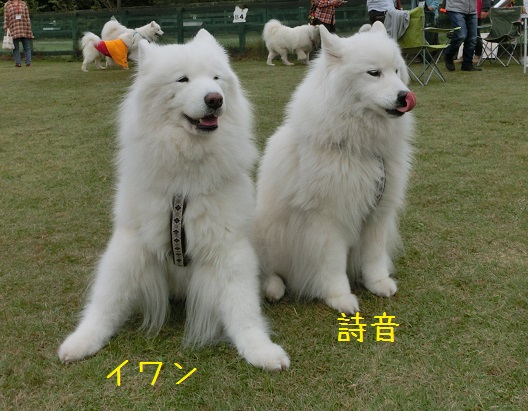 a0166954_1592395.jpg