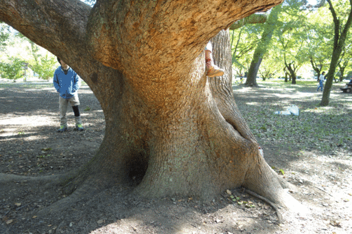 b0159780_2057542.gif