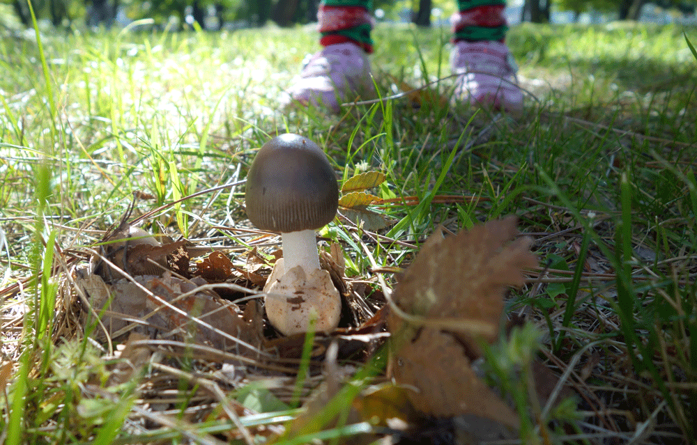 b0159780_21125095.gif