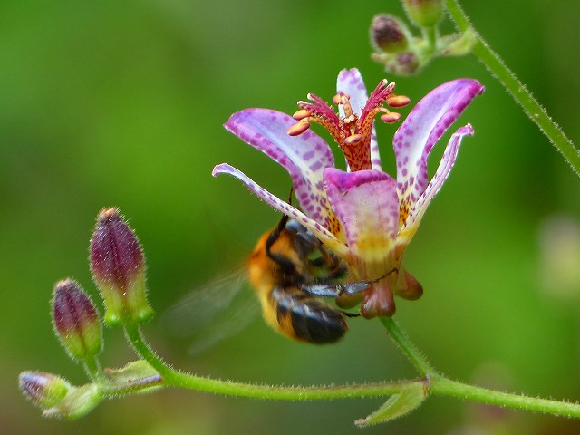 d0088184_22010568.jpg