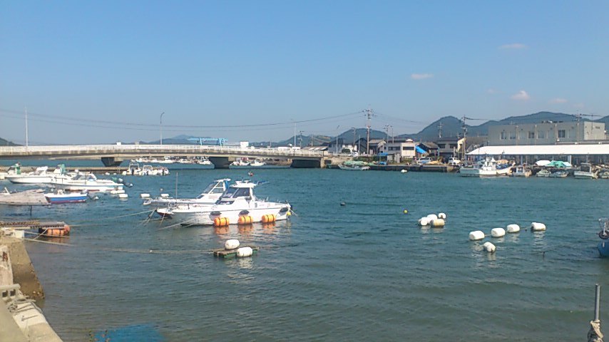 a0176188_8144624.jpg
