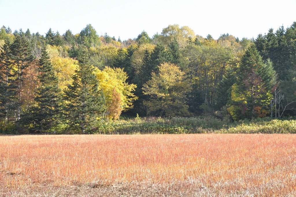 c0240388_1824914.jpg