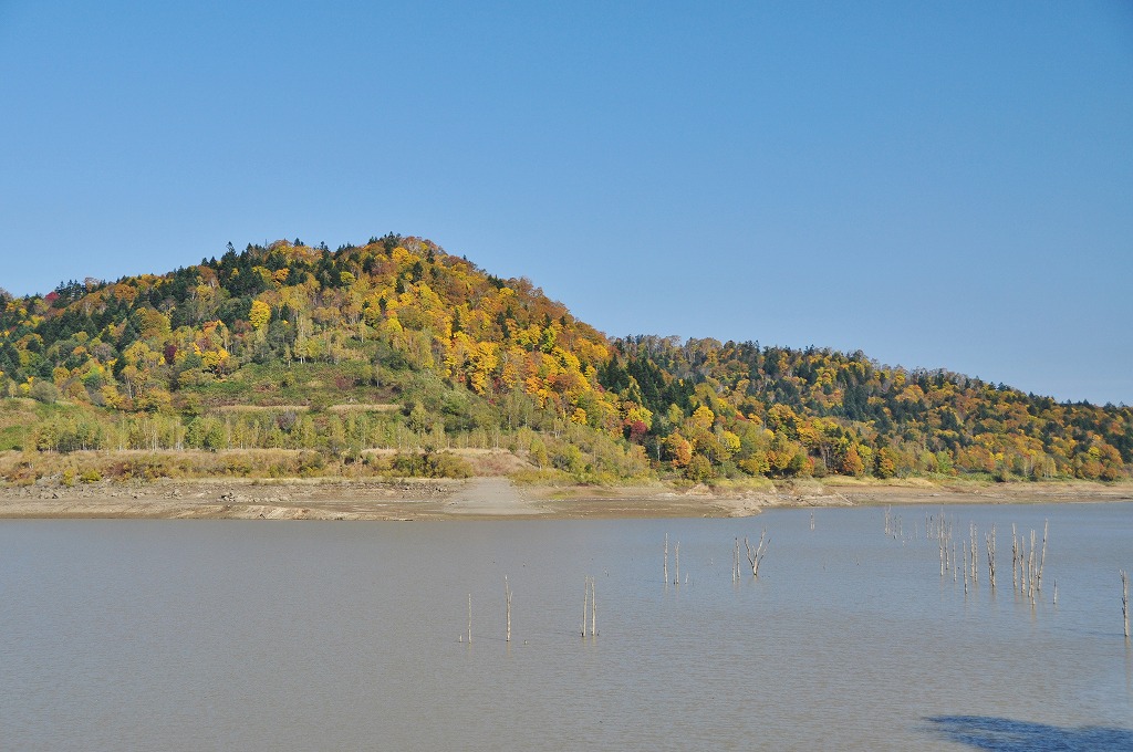 c0240388_1832178.jpg