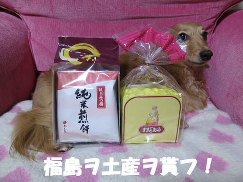 福島へ配達に行ってきた！_b0200291_2014498.jpg