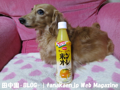 福島へ配達に行ってきた！_b0200291_2183316.jpg